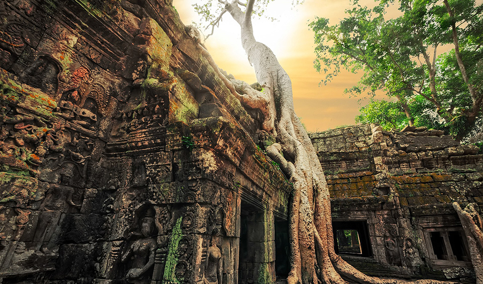 Ancient Khmer architecture. Ta Prohm temple with giant banyan tree at sunset. Angkor Wat complex, Siem Reap, Cambodia travel destinations ; Shutterstock ID 216998611
